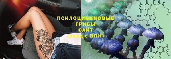 прущие крисы Богородицк