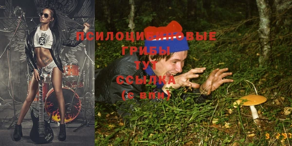 прущие крисы Богородицк