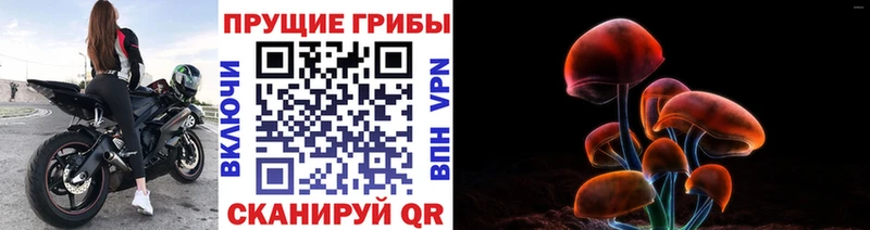 Псилоцибиновые грибы Psilocybe  Котельники 